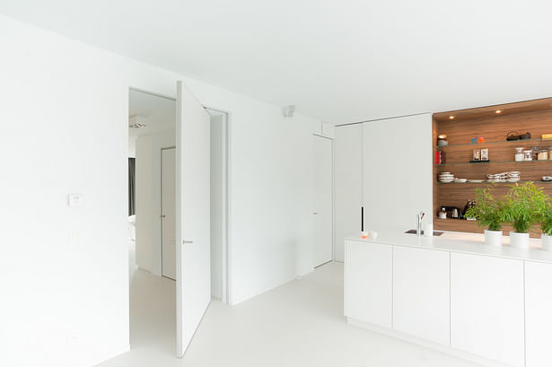 Modern & minimalist pivoting door without visible hinge parts