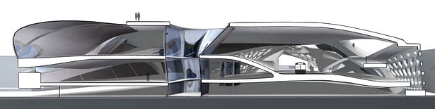 Central Cross Section