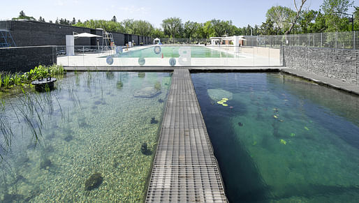 Awards of Excellence – Innovation in Architecture: Borden Park Natural Swimming Pool. Credit: gh3