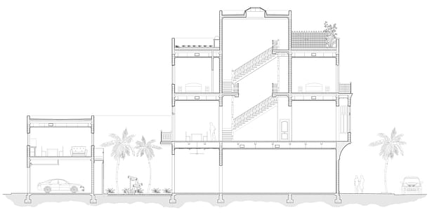 Longitudinal Section