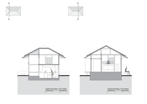 longitudinal section