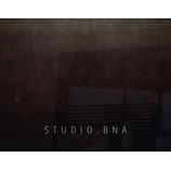 studio bna architects