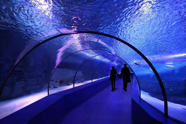 Antalya Aquarium in Antalya, Turkey by Bahadır Kul Architects; Photo: Ket Kolektif