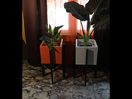 Modern Plant stands, Along with plant boxes
