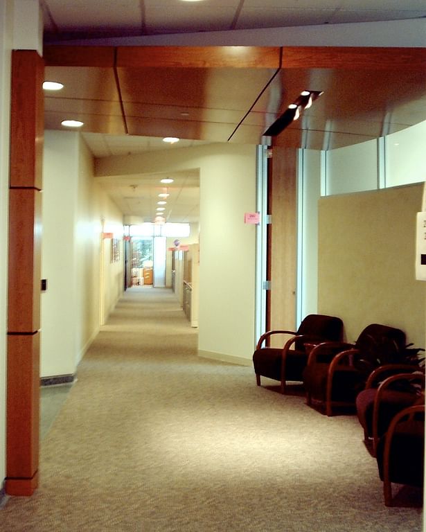 Typical Corridor outside Main Conference Room on each floor