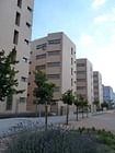 105 Housing. Alcorcon. Madrid. 2006. Plot 3.3.1