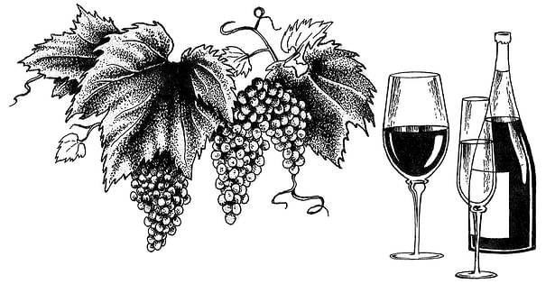 This pen and ink illustration adorned the wine menu of a restaurant located in New York City.