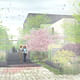 1st prize winner of the FAITH! ideas competition: CAMLEY STREET SYLVAN CHAPEL. Image courtesy of Combo Competitions.