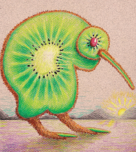 Kiwi, Kiwi
