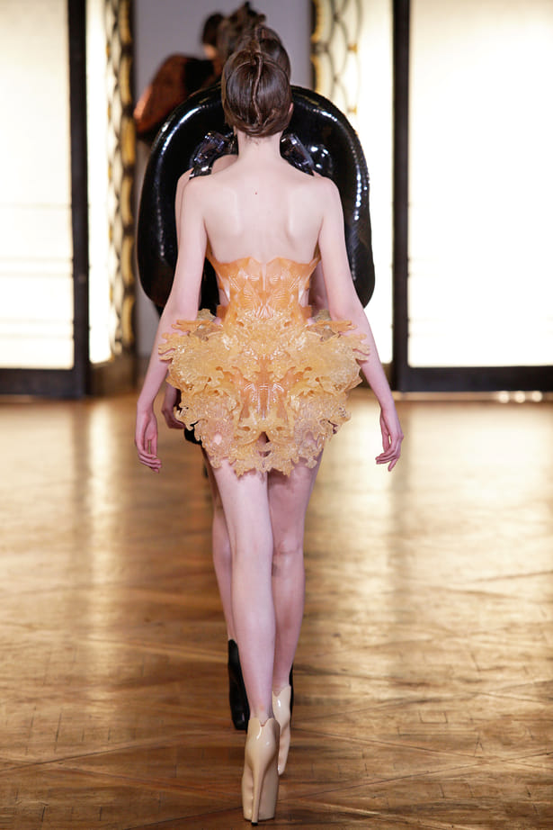 HYBRID HOLISM DRESS | Julia Koerner | Archinect HYBRID HOLISM DRESS | Julia Koerner | Archinect