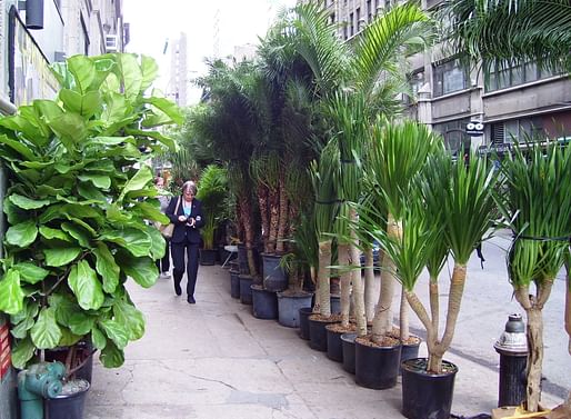 A street in the Flower District of Manhattan: 28th and 7th. Credit: Wikipedia