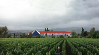 Verona Winery