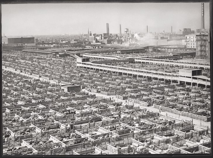 Acres of livestock pens with animals waiting to be slaughtered after being transported from western and southern states. Union Stock Yards, Chicago, Illinois, ca. 1947. US National Archives and Records Administration.