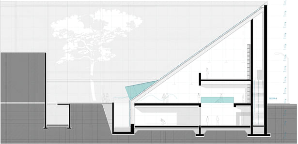 cross section