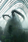 Cooled Conservatories, Gardens by the Bay wins 2013 RIBA Lubetkin Prize