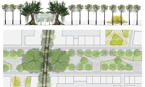 Detail plan and section of Macondo Plaza along Bombacaeae corridor with intersecting Fabaceae plazas and surrounding commercial node
