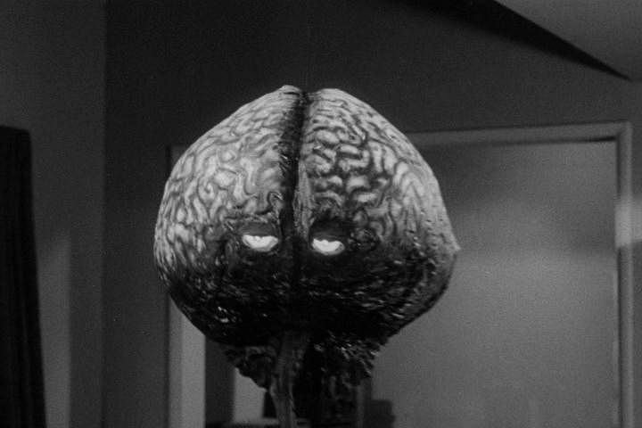 If only our brains could talk. The eponymous 'Brain from Planet Arous', image via horrorpedia.com