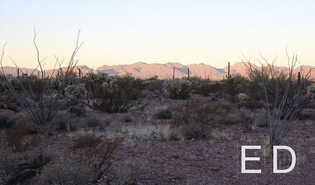 Figure 01: Tak-Va’Vak Mountain Range, part of the Tohono O’odham ancestral lands in the Sonoran Desert. Photograph by Nina Kolowratnik.