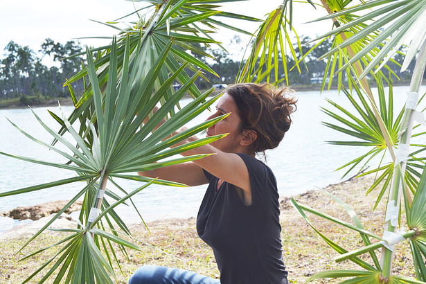 Foto Caterina Tiazzoldi Studio