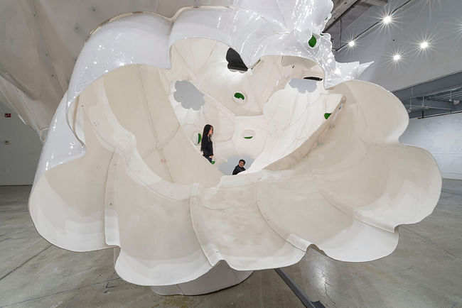 'Apertures' by Baumgartner+Uriu. Photo: Joshua White