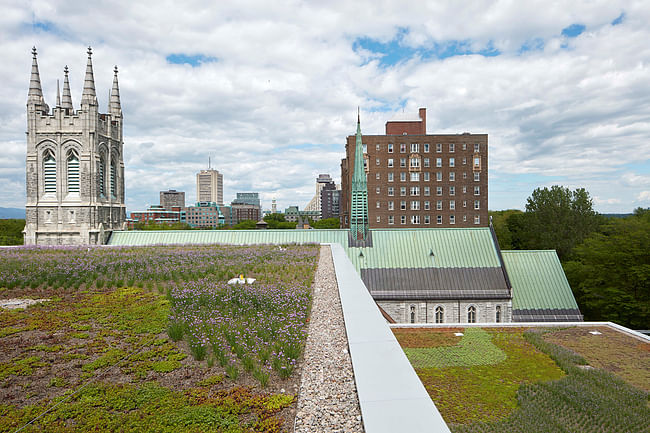 Terrace. Photo by Bruce Damonte.