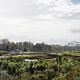 LANDSCAPE OF THE YEAR: Kopupaka Reserve in Auckland, New Zealand by Isthmus