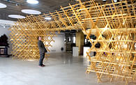 Multi-lattice Art Museum Renovation