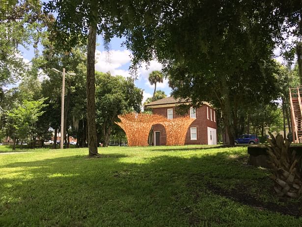 The Forest of Arden Annex activates a residual space on the Stetson University campus.