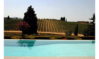 Swimming Pool in Chianti