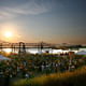 Louisville Waterfront Park (Photo: Waterfront Development Corporation/Wales Hunter, Nfocus Images)