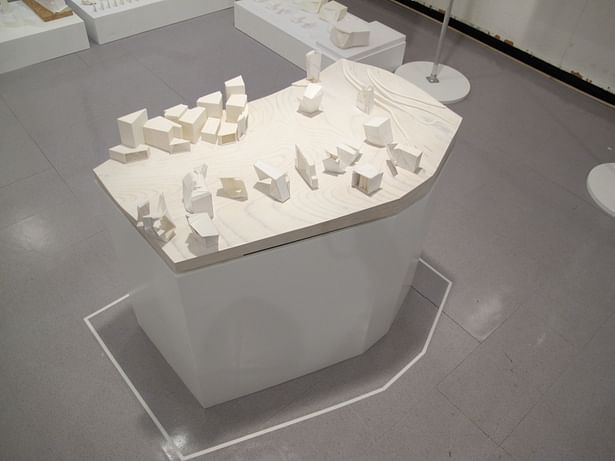 Group site model