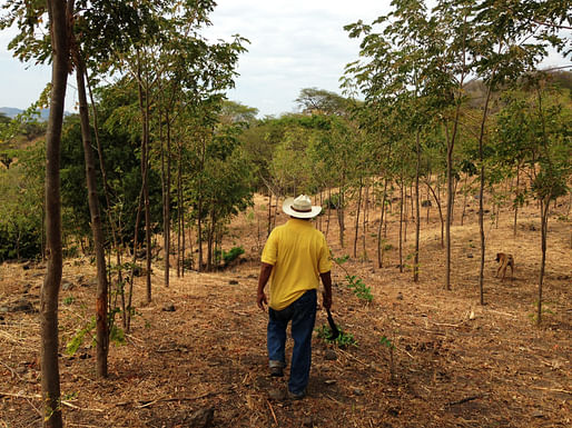 Taking Roots' CommuniTree project. Photo courtesy of the 2016 Fuller Challenge.