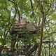 Built around a 300-year old camphor tree, the 3D-designed steel trellis structure supporting the treehouse doesn't even touch the tree. (Photo: Koji Fujii / Nacasa and Partners Inc.; Image via spoon-tamago.com)