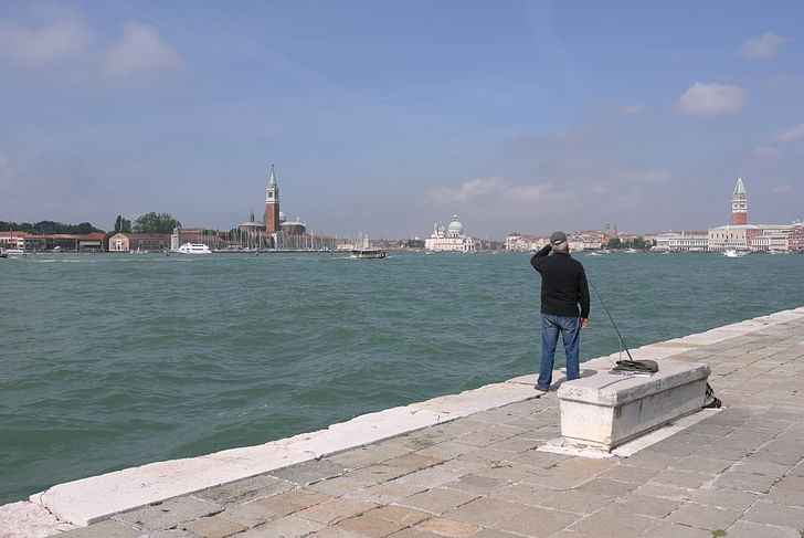 The view at Venice. Photo by Andrea Dietz.