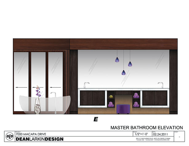 Master Bathroom - elevation