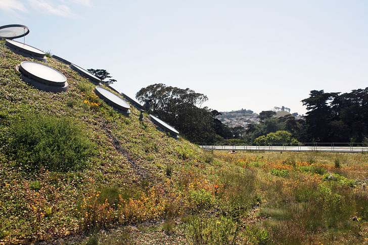 Paul Kephart's green roof of the California Academy of Sciences. Image courtesy of Rana Creek Design.