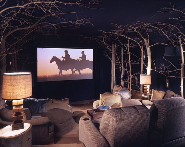 Home Theater