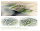 Parkmerced Vision Plan; San Francisco (Image: Skidmore, Owings & Merrill)
