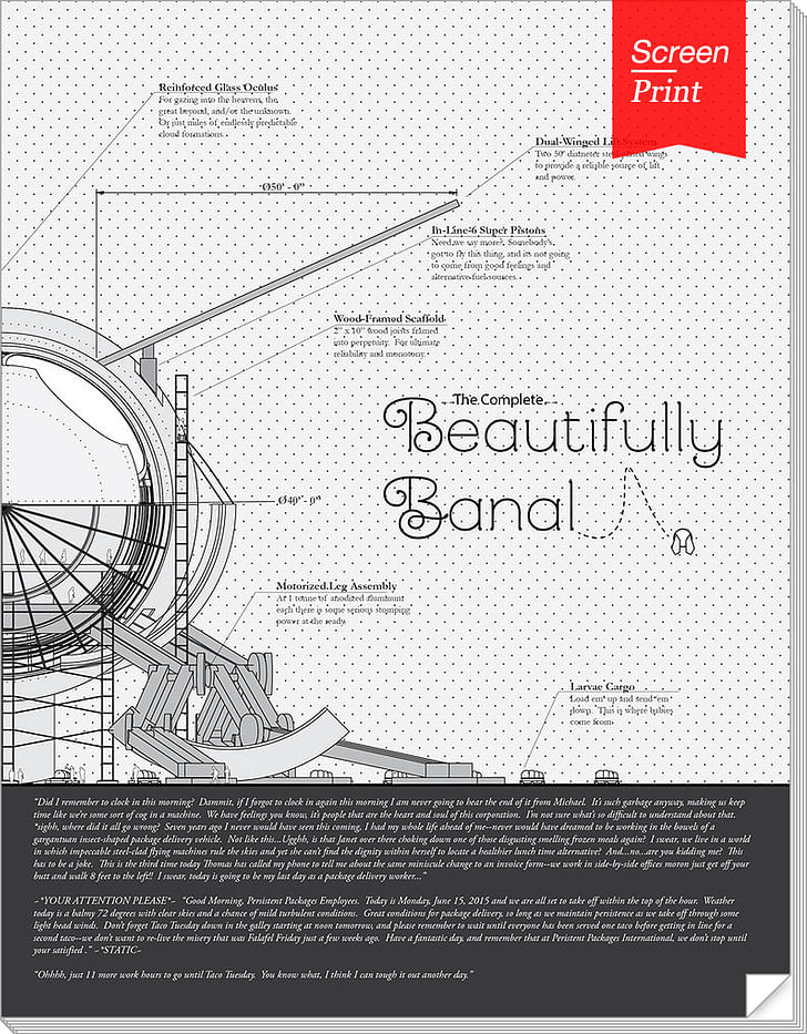 The 'Beautifully Banal' cover. 