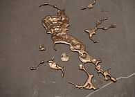 Bronze Liquid Forms Concept