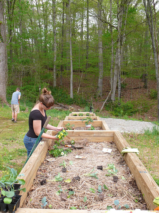 Clearing the community path and separating seedlings