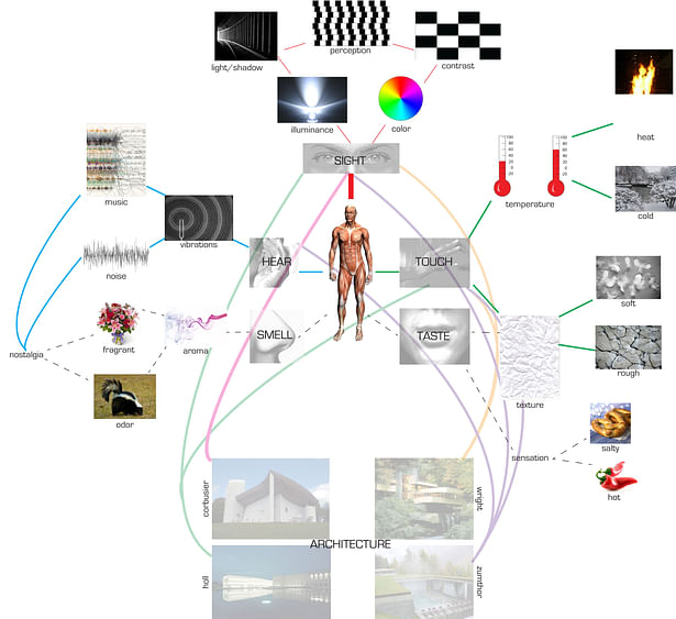 collage begins analyzing how the body uses its senses