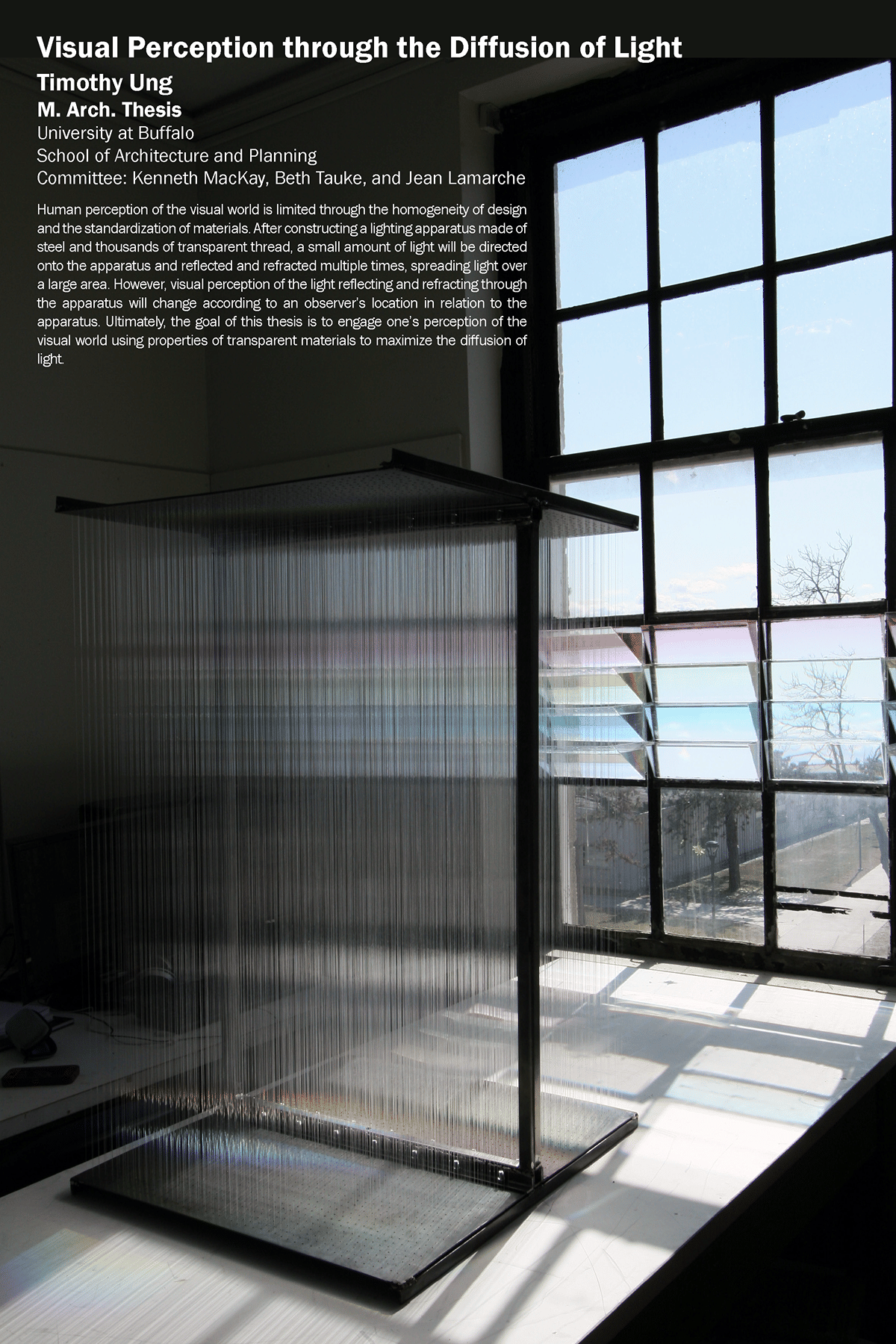Master's Thesis: Visual Perception through the Diffusion of Light ...