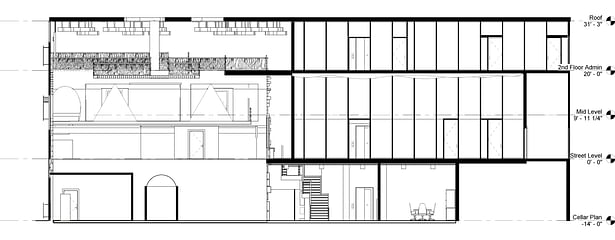 Longitudinal Section