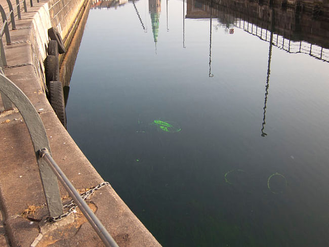 Grave of a bike in Copenhagen's many canals