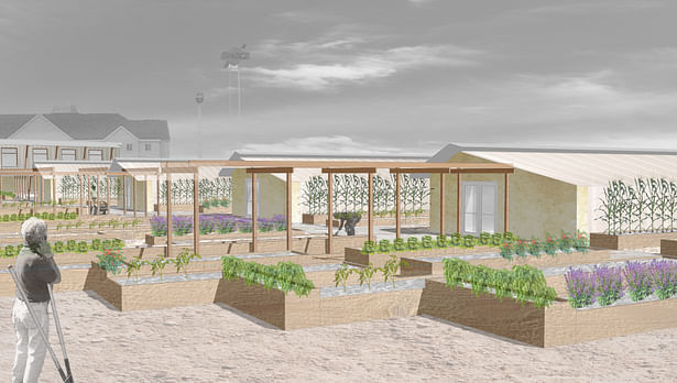 Site Rendering - Community Gardens and Greenhouses 
