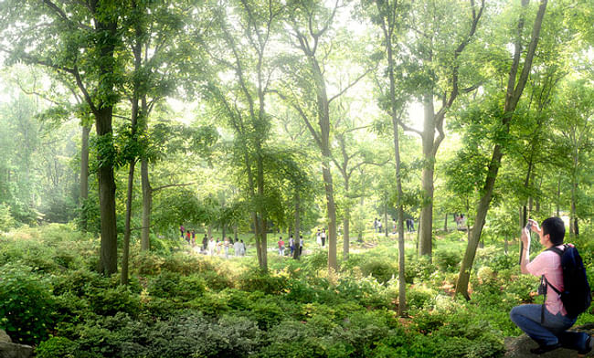 Eco Spine Park Azalea Garden © West 8 urban design & landscape architecture