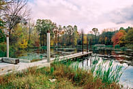 Foote's Pond Wood