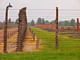 Birkenau fence and ruins, via flickr/Paul Arps.