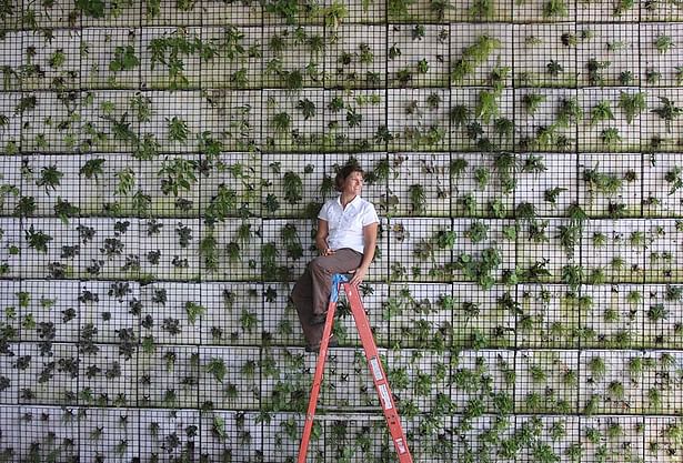 The Green Building Green Wall